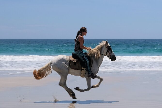 Safari & Barigona Beach on horseback - The ride itself: jungle, rivers, and wildlife talk