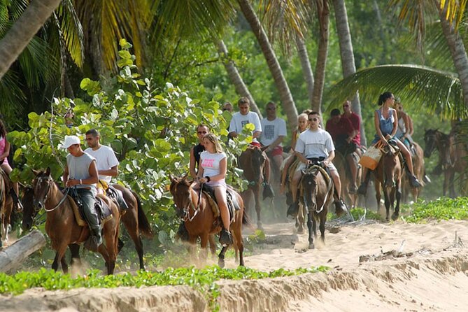 Samana + Cayo Levantado + Horseback Riding from Punta Cana with Lunch - Price and value: what $115 buys in a 10-hour day