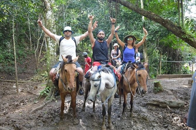Samana - Key Levantado - Limon Waterfall - Horseback Riding - Getting There at 6:30 am: The Transfer Rhythm