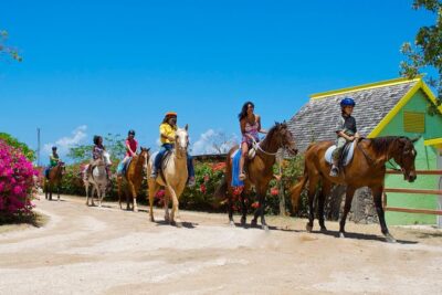 Sand n Saddle Horseback Ride & Swim Tour from Falmouth - What You Really Get For the $220: Value Breakdown