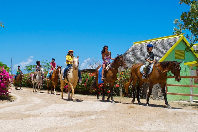 Sand n Saddle Horseback Ride & Swim Tour from Runaway Bay - The Countryside Trail Ride: Views, Stories, and a Pace That Fits