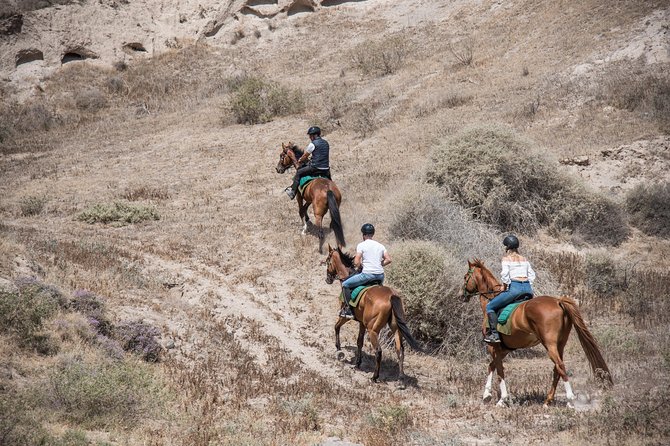 Santorini Horse Riding to Black Sandy Beach - Price and value: is $102.79 worth it?