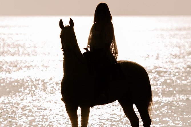Santorini: Horse Riding to the Black Sandy Beach (Eros beach) - Entering The Vineyards: Where the Ride Really Starts