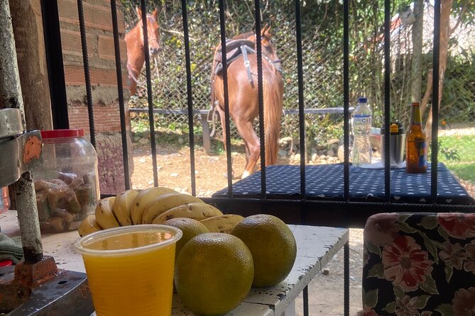 Scenic Horseback Riding in the Medellín Mountains - Horses and safety: the part that makes or breaks this tour