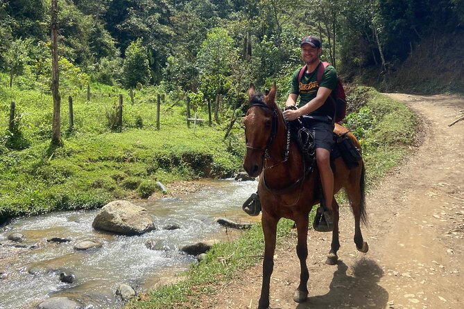 Scenic Horseback Riding in the Medellín Mountains - Price and value: what $66.60 buys you (and why it’s not just the horse)