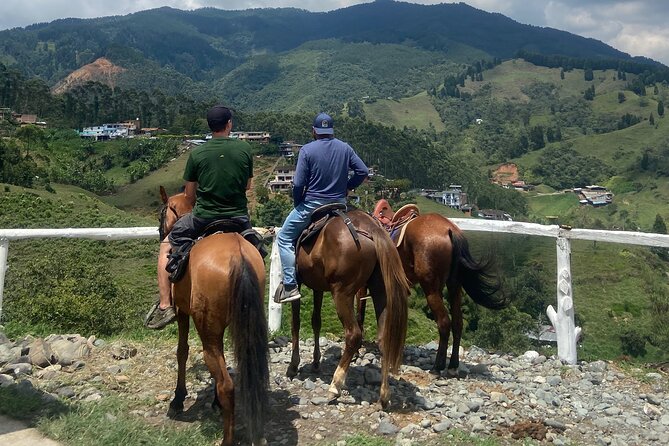 Scenic Horseback Riding in the Medellín Mountains - Group size reality: 14 on paper, pacing in practice