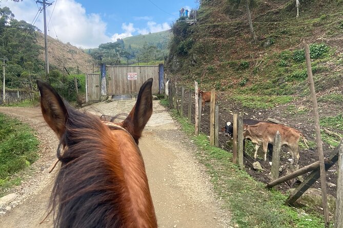 Scenic Horseback Riding in the Medellín Mountains - What to wear so you’re comfortable in the saddle