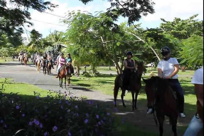 Scenic Horseback Riding Tour from San Juan - What You’ll See: Lagoons, Ranch Paths, and Wildlife Stops