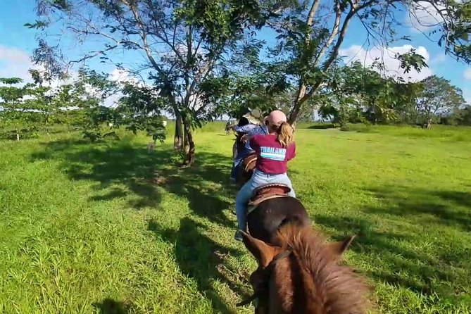 Scenic Horseback Riding Tour from San Juan - How Long It Really Takes: 3 Hours 30 Minutes With Transfers