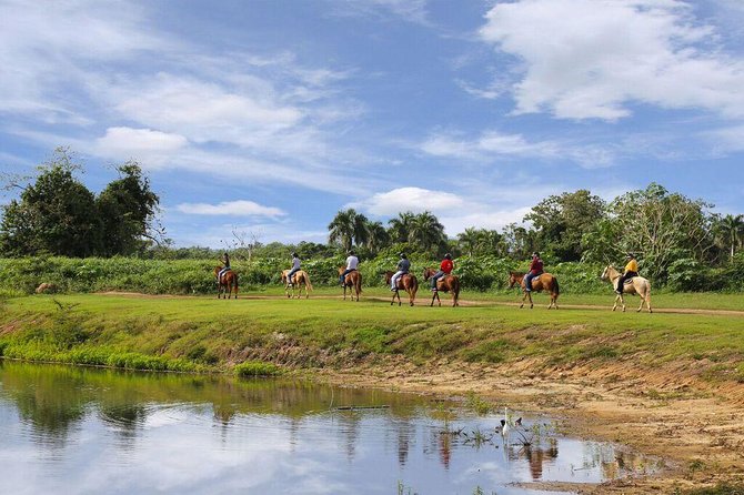 Scenic Horseback Riding Tour from San Juan - Getting Your Gear Right: What to Wear and What to Bring