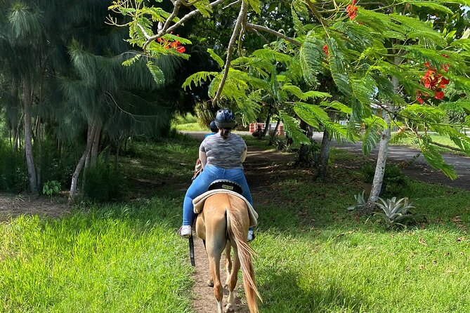 Scenic Horseback Riding Tour from San Juan - The Real Value of $169: What You Get for the Money