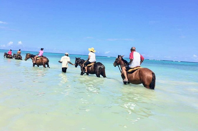 Secret Falls, Blue Hole, and Horseback Riding from Ocho Rios - Rainforest-and-sea photo stops you’ll actually use