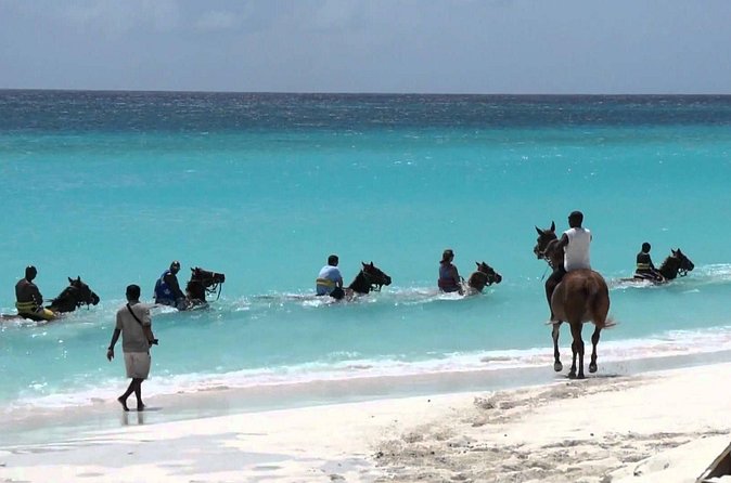 Secret Falls, Blue Hole, and Horseback Riding from Ocho Rios - Price and value of $160.39 for transport, guide, and tickets