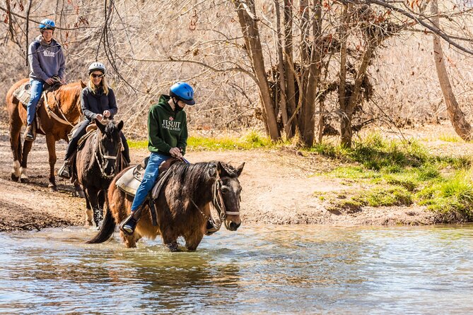 Sedona Horseback Rides At Dead Horse Ranch with River Crossing - Dead Horse Ranch State Park: where the ride really happens