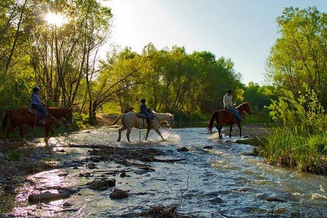 Sedona Horseback Rides At Dead Horse Ranch with River Crossing - Should you book this Sedona river-crossing horseback ride?