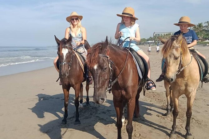 Seminyak Beach Bali Horse Riding - Price and Value: Is $63.95 for an Hour Reasonable?