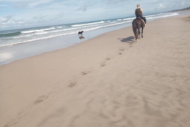 Seminyak Beach Bali Horse Riding - Sunset Timing: When to Choose the Golden-Hour Slot