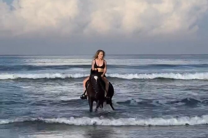 Seminyak beach Private Bali Horse Riding - Key things to know before you go