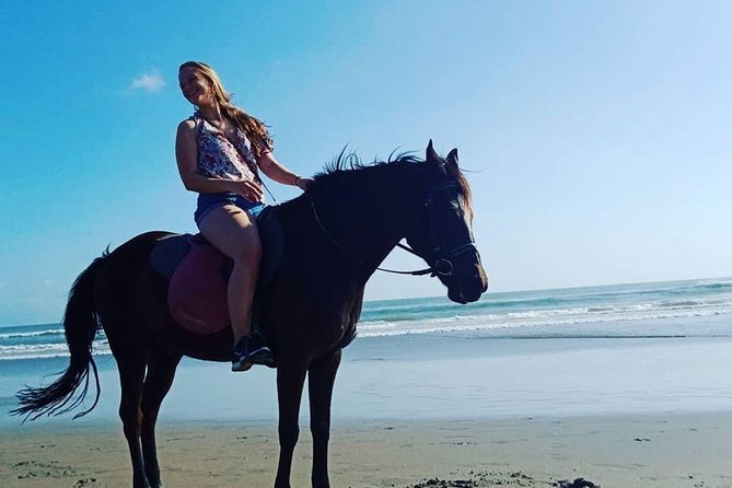 Seminyak beach Private Bali Horse Riding - Price and real value: what $44.99 gets you in Bali