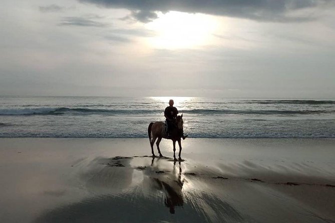 Seminyak beach Private Bali Horse Riding - Who should book this Seminyak Beach horseback ride?