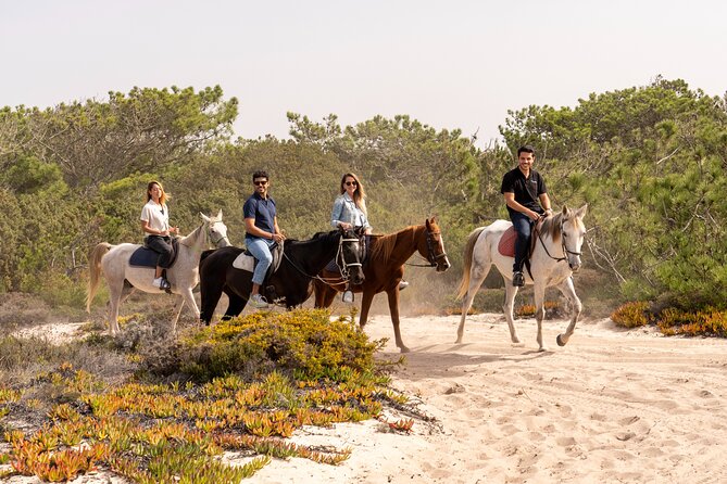 Setubal & Comporta Trip with Horseback Riding from Lisbon - Why this Setúbal and Comporta mix works so well from Lisbon