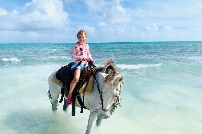 Shared Horseback Riding in Turks and Caicos - Beach Horseback Riding in Turks and Caicos: Why This One Works for Families