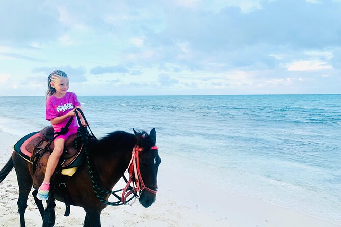 Shared Horseback Riding in Turks and Caicos - Horses and Safety: What the Guides Actually Do