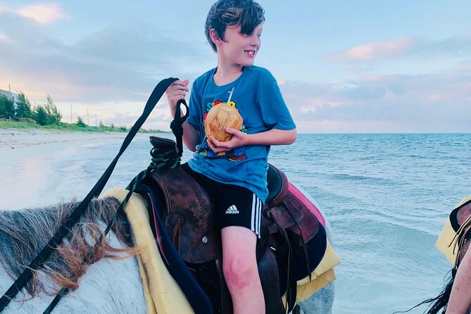 Shared Horseback Riding in Turks and Caicos - Water Conditions: Why You Might Not Ride as Deep as Advertised