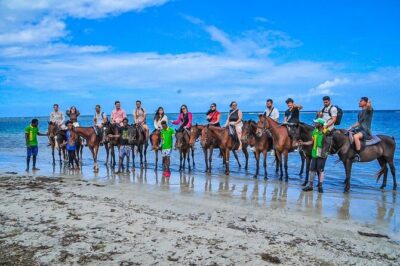 Shared Tour in Ocho Rios with Horseback Riding and Swimming - Your Ride Through the Jungle: Why It Feels More Than Just Transportation