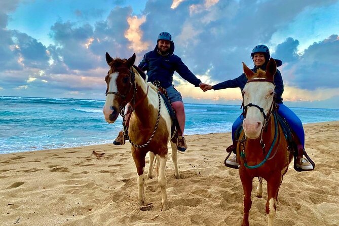 Sharm El Sheikh Horseback Riding with Pickup and Drop-off - Key Highlights You’ll Care About