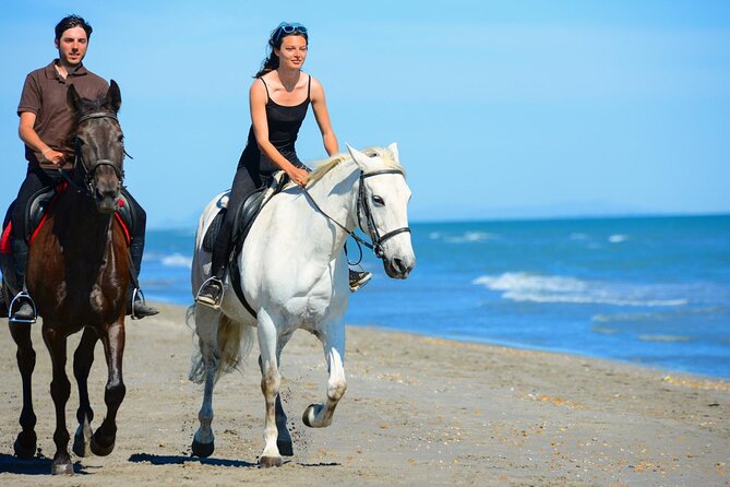 Sharm El Sheikh Horseback Riding with Pickup and Drop-off - From Your Hotel to the Saddle: How the Day Flows
