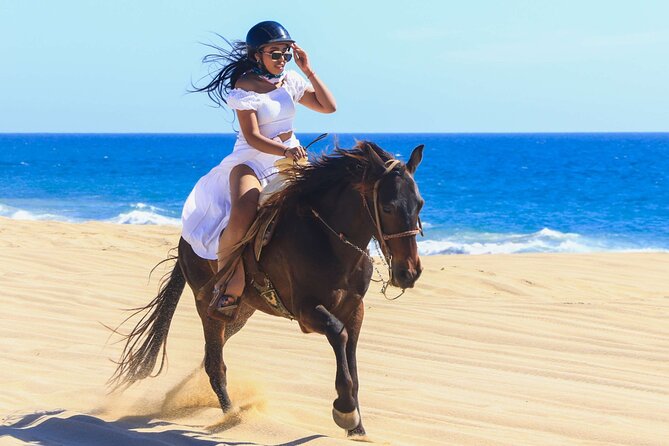 Sharm El Sheikh Horseback Riding with Pickup and Drop-off - Trainer Briefings and Real Safety Support