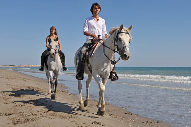 Sharm El Sheikh Horseback Riding with Pickup and Drop-off - What the Small Group Size Changes