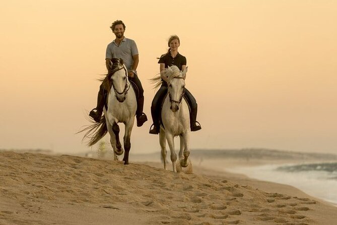 Sharm El Sheikh Horseback Riding with Pickup and Drop-off - Getting the Value: $8.16 Price vs. the 5 Euro Fees