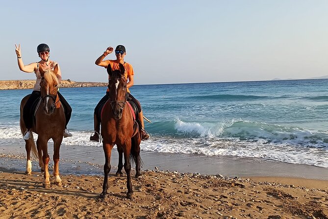 Sharm El Sheikh Horseback Riding with Pickup and Drop-off - Logistics That Affect Your Comfort (Without the Stress)