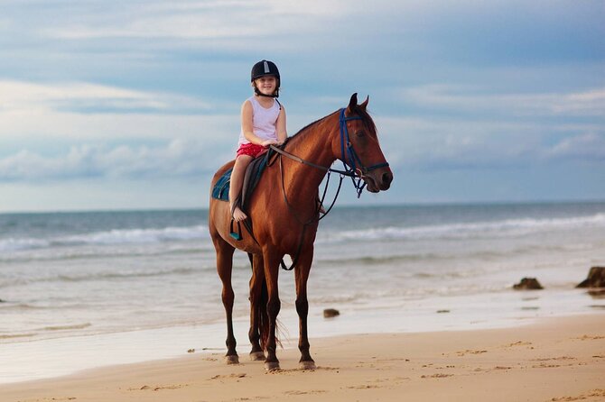 Sharm El Sheikh Horseback Riding with Pickup and Drop-off - The Ride Itself: Beach Moments vs. Desert Views
