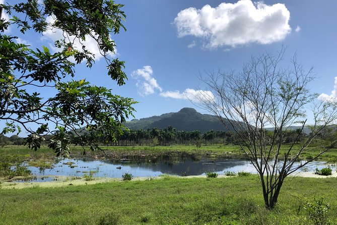 Shore Excursion: V.I.P. DayPass: ATV, Zip Lines, Horseback Riding & Lunch - Zip Line Course with 8 ACCT Lines and the Pool-Zip N Splash Finale