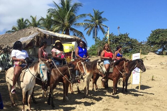 Short Excursion horseback riding tours on the beach and mountain - Who this horseback ride suits best (and who might want a different plan)