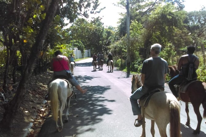 Short Excursion horseback riding tours on the beach and mountain - Practical tips so you enjoy it more on the day