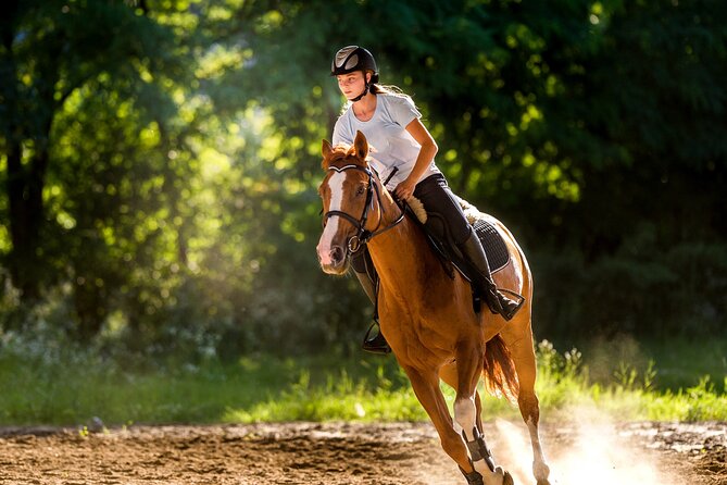 Side Horse Riding On Beach And Through The Forests For 2 Hours - The countryside hour: forests, orange orchards, hamlets, and rivers