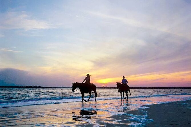 Side Horse Riding On Beach And Through The Forests For 2 Hours - Horses, handling, and safety: the make-or-break factor