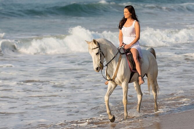 Side Horse Riding On Beach And Through The Forests For 2 Hours - Price and value at $35 per person