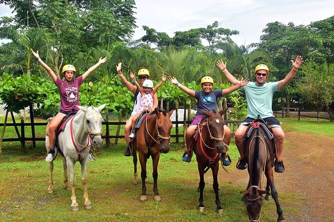 Side Horse Riding On Beach And Through The Forests For 2 Hours - Training first: what you should watch for with beginner rides