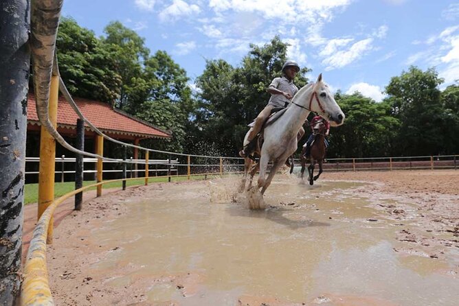 Siem Reap Happy Horse Riding Free Pick-up & Drop-off - Key highlights worth knowing before you ride