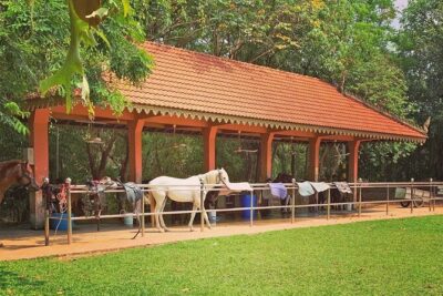 Siem Reap Happy Horse Riding Free Pick-up & Drop-off - Getting there by tuk tuk: the quiet start from town