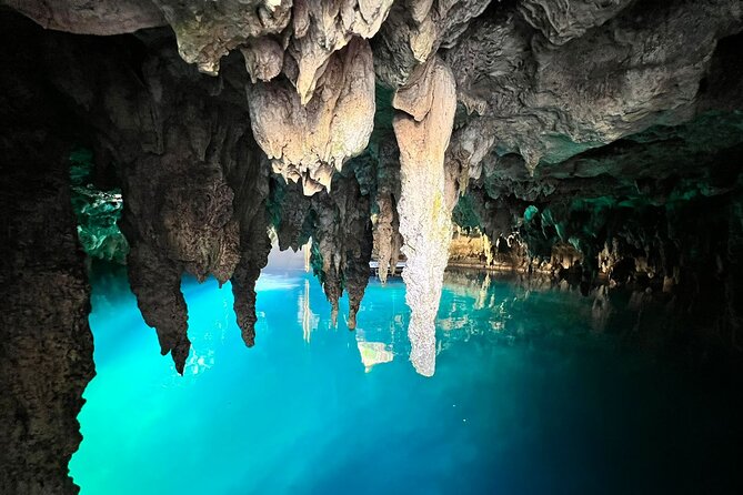 Single ATV, Horseback Riding, Ziplines and Cenote Swim - Cenote Swim: The Cooling Break That Makes the Day Feel Complete