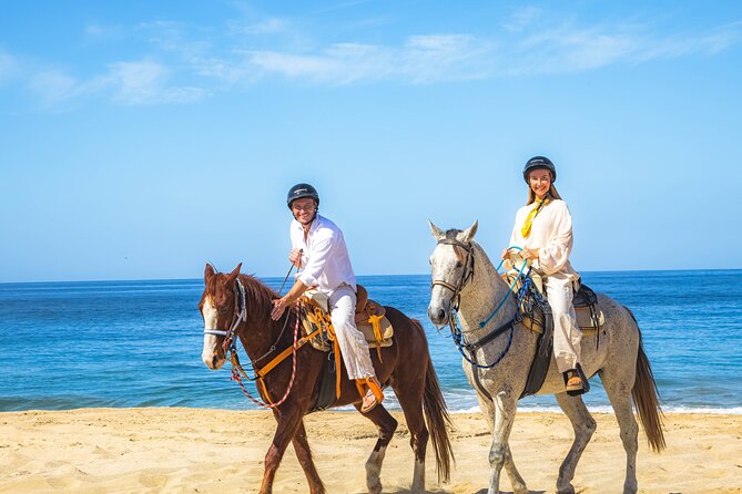 Sky Bike Free Camel Ride and Horseback Riding - Horseback riding by the sea: classic views with real support