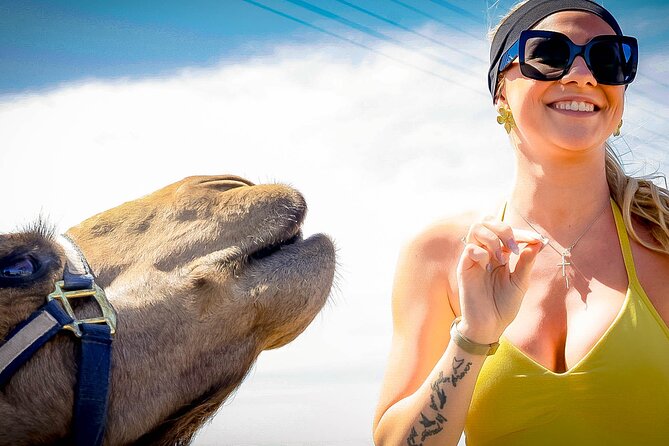 Sky Bike Free Camel Ride and Horseback Riding - Ecological hike and small extras: where the “included” value shows up