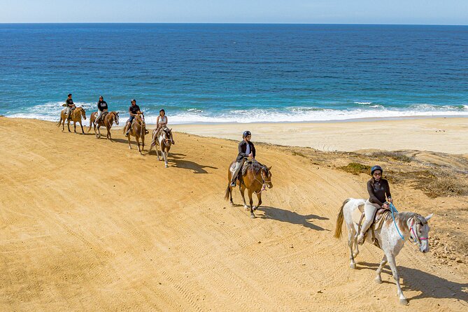 Sky Bike Free Camel Ride and Horseback Riding - Price and logistics: what $175 really means on the ground