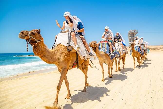 Sky Bike Free Camel Ride and Horseback Riding - Who should book this Cabo San Lucas combo?